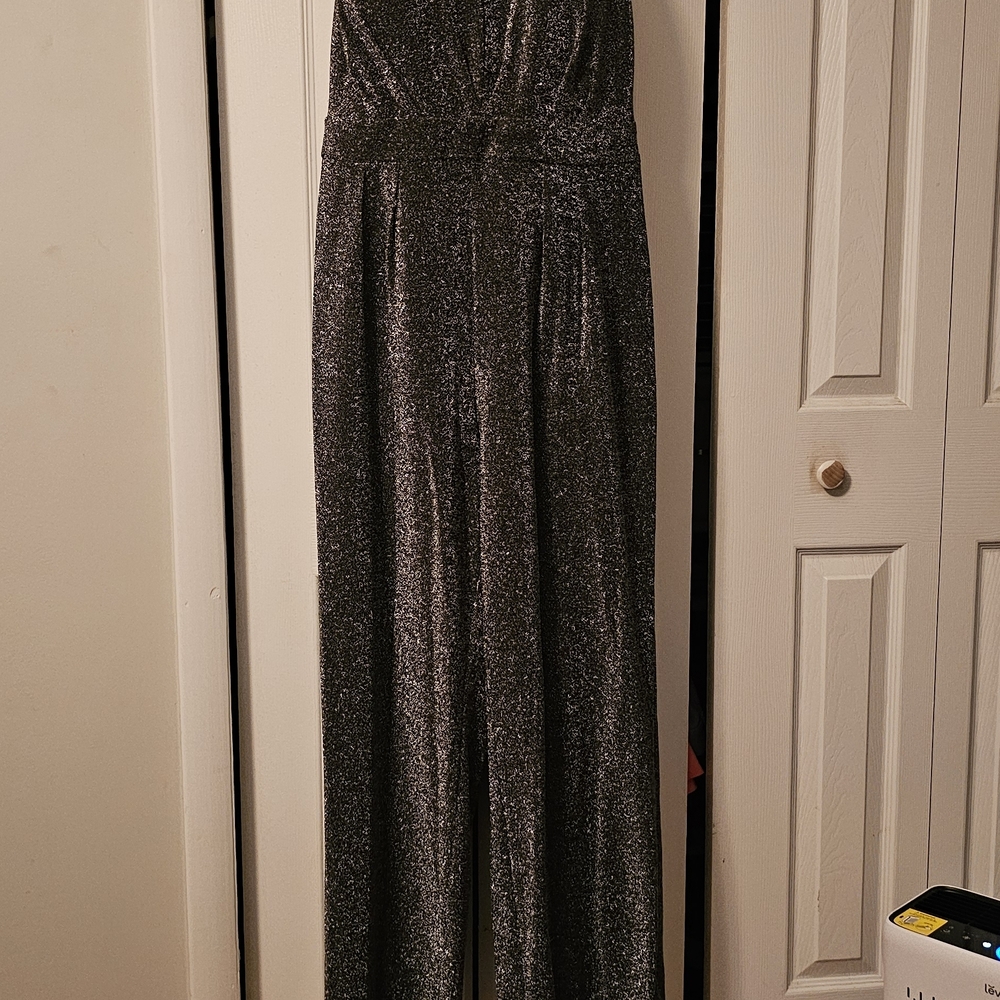 Beautiful Shimmer  Metalic Jumpsuit  By Shelli Segal